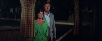 Movie still from “The Swarm” (1978), directed by Irwin Allen – A man and a woman standing next to each other in front of a window; Medium shot, Low angle