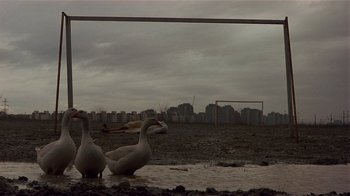 Movie still from “Time of the Gypsies” (1988), directed by Emir Kusturica – Two geese are standing in a puddle of water near a soccer field; Wide shot, High angle