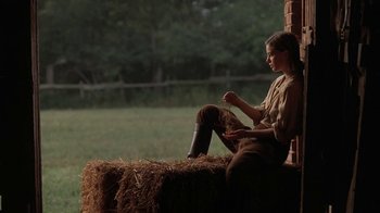Movie still from “Wild Hearts Can't Be Broken” (1991), directed by Steve Miner – A woman sitting on a hay bale in a field; Medium shot, Over the shoulder angle