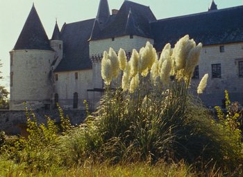 Movie still from “Ô saisons ô chateaux” (1958), directed by Agnès Varda – A castle with a bunch of tall grass in front of it; Extreme Wide shot, Low angle