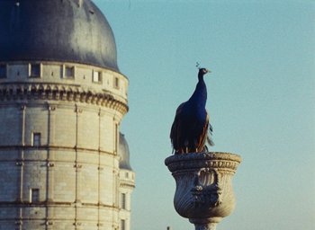 Movie still from “Ô saisons ô chateaux” (1958), directed by Agnès Varda – A peacock sitting on top of a fountain; Extreme Wide shot, Low angle
