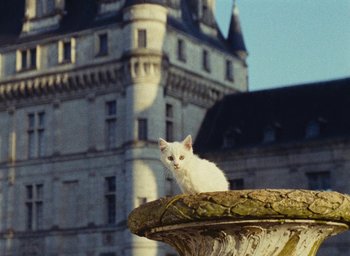 Movie still from “Ô saisons ô chateaux” (1958), directed by Agnès Varda – A white cat sitting on top of a fountain near a building; Wide shot, High angle