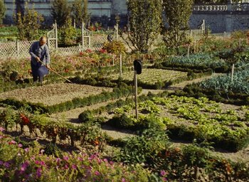 Movie still from “Ô saisons ô chateaux” (1958), directed by Agnès Varda – A man is in a garden with many flowers; Wide shot, High angle