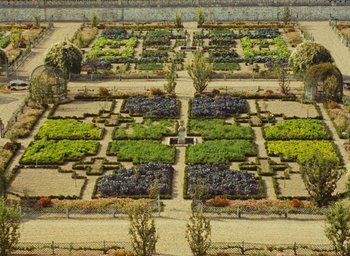 Movie still from “Ô saisons ô chateaux” (1958), directed by Agnès Varda – An aerial view of a garden with many different plants; Extreme Wide shot, High angle