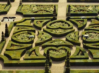 Movie still from “Ô saisons ô chateaux” (1958), directed by Agnès Varda – A garden with a lot of plants growing out of the ground; Extreme Wide shot, Overhead angle
