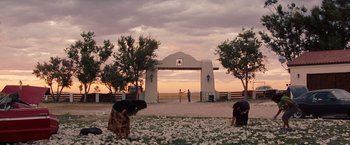 Movie still from “2 Guns” (2013), directed by Baltasar Kormákur – Two women are picking flowers in a field; Extreme Wide shot, Low angle