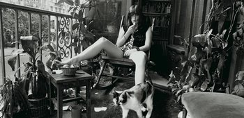 Movie still from “20th Century Women” (2016), directed by Mike Mills – A woman sitting in a rocking chair next to a cat; Medium shot, High angle