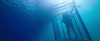 Movie still from “47 Meters Down” (2017), directed by Johannes Roberts – A person in a scuba suit in the water; Wide shot, High angle