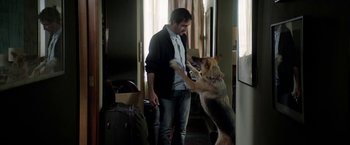Movie still from “A Fantastic Woman” (2017), directed by Sebastián Lelio – A man and a dog playing with each other in a room; Medium shot, Over the shoulder angle