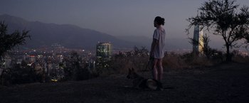 Movie still from “A Fantastic Woman” (2017), directed by Sebastián Lelio – A woman standing on top of a hill next to a dog; Wide shot, High angle