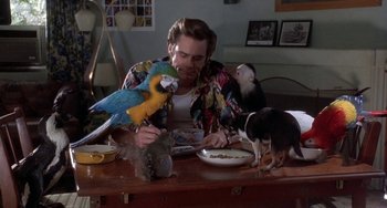 Movie still from “Ace Ventura: Pet Detective” (1994), directed by Tom Shadyac – A man sitting at a table with a parrot and a squirrel; Medium shot, Over the shoulder angle
