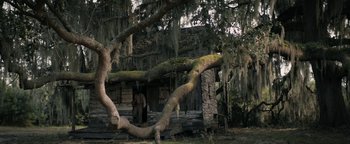 Movie still from “Alice” (2022), directed by Krystin Ver Linden – An old log cabin with a tree hanging over it; Extreme Wide shot, Low angle