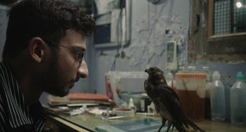 Movie still from “All That Breathes” (2022), directed by Shaunak Sen – A man and a bird are looking at each other; Extreme Close Up shot, Low angle