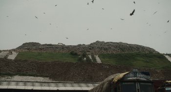 Movie still from “All That Breathes” (2022), directed by Shaunak Sen – Birds flying over a dirt field with a road in the background; Extreme Wide shot, Low angle