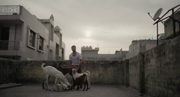 Movie still from “All That Breathes” (2022), directed by Shaunak Sen – A man standing next to a group of goats; Wide shot, Low angle