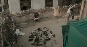 Movie still from “All That Breathes” (2022), directed by Shaunak Sen – A man sitting on the ground next to a flock of birds; Wide shot, High angle