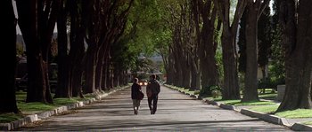 Movie still from “American Beauty” (1999), directed by Sam Mendes – Extreme Wide shot, Low angle
