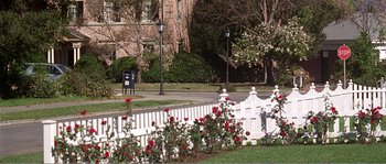 Movie still from “American Beauty” (1999), directed by Sam Mendes – A white picket fence with roses growing on it's side; Extreme Wide shot, High angle