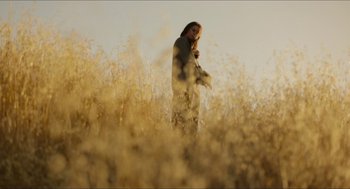 Movie still from “American Ultra” (2015), directed by Nima Nourizadeh – A woman standing in a field of tall brown grass; Extreme Wide shot, Low angle