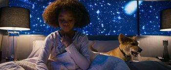 Movie still from “Annie” (2014), directed by Will Gluck – A girl and a dog in a bed with stars in the background; Medium shot, Overhead angle