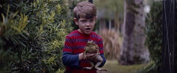 Movie still from “Assassination Nation” (2018), directed by Sam Levinson – A young boy holding a frog in his hands; Medium shot, Low angle
