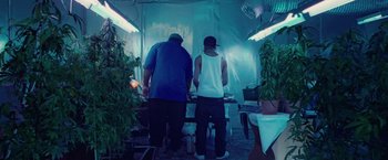 Movie still from “Attack the Block” (2011), directed by Joe Cornish – Two men standing in a room next to plants; Wide shot, Low angle