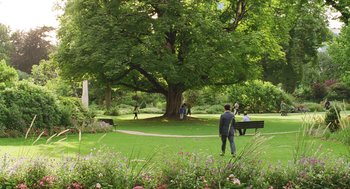 Movie still from “Attila Marcel” (2013), directed by Sylvain Chomet – A man standing next to a tree in a park; Extreme Wide shot, High angle