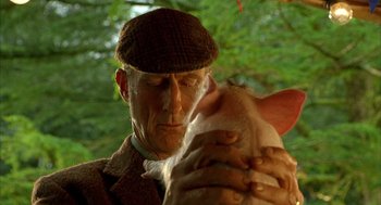 Movie still from “Babe” (1995), directed by Chris Noonan – An old man holding a cat in his hands; Close Up shot, Low angle