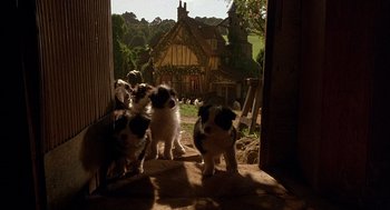 Movie still from “Babe” (1995), directed by Chris Noonan – A group of puppies standing in a barn; Wide shot, Low angle