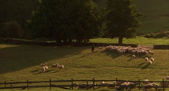 Movie still from “Babe” (1995), directed by Chris Noonan – A herd of sheep grazing on a lush green field; Extreme Wide shot, High angle