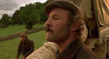 Movie still from “Babe” (1995), directed by Chris Noonan – A person with a sheep; Close Up shot, Low angle