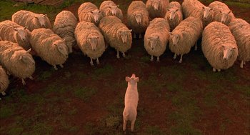 Movie still from “Babe” (1995), directed by Chris Noonan – A herd of sheep standing next to each other on top of a grass covered field; Wide shot, Overhead angle