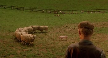 Movie still from “Babe” (1995), directed by Chris Noonan – A herd of sheep grazing in a green field; Wide shot, High angle