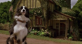 Movie still from “Babe” (1995), directed by Chris Noonan – A black and white dog standing in front of a house; Wide shot, Low angle