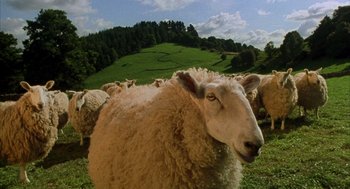 Movie still from “Babe” (1995), directed by Chris Noonan – A herd of sheep standing on top of a grass covered field; Wide shot, High angle