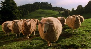 Movie still from “Babe” (1995), directed by Chris Noonan – A herd of sheep standing on top of a grass covered field; Wide shot, Low angle