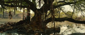 Movie still from “Beast” (2022), directed by Baltasar Kormákur – A man sitting under a large tree in the water; Wide shot, Low angle