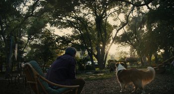 Movie still from “Beautiful Boy” (2018), directed by Felix van Groeningen – A person sitting in a chair next to a dog in a park; Wide shot, Over the shoulder angle