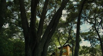 Movie still from “Beautiful Boy” (2018), directed by Felix van Groeningen – A house sitting in the middle of a forest; Extreme Wide shot, Low angle