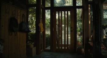Movie still from “Beautiful Boy” (2018), directed by Felix van Groeningen – A wooden door leading to a room with a view of trees; Wide shot, Low angle