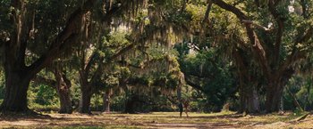 Movie still from “Beautiful Creatures” (2013), directed by Richard LaGravenese – A person standing in a field under a tree; Extreme Wide shot, Over the shoulder angle