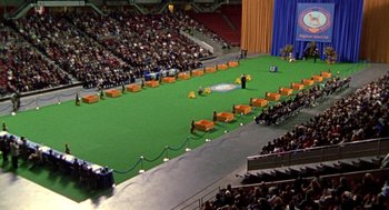 Movie still from “Best in Show” (2000), directed by Christopher Guest – A crowd of people sitting in seats in an indoor arena; Extreme Wide shot, High angle