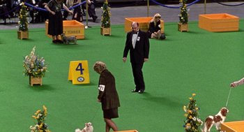 Movie still from “Best in Show” (2000), directed by Christopher Guest – A man and a woman in a suit and tie and a white dog; Wide shot, High angle