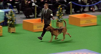 Movie still from “Best in Show” (2000), directed by Christopher Guest – A man in a suit is walking a brown dog; Wide shot, High angle
