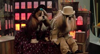 Movie still from “Best in Show” (2000), directed by Christopher Guest – Two dogs dressed up like a man and a woman; Wide shot, High angle