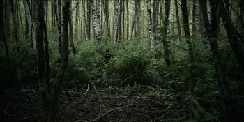 Movie still from “Blair Witch” (2016), directed by Adam Wingard – A person in a forest surrounded by trees and bushes; Extreme Wide shot, High angle