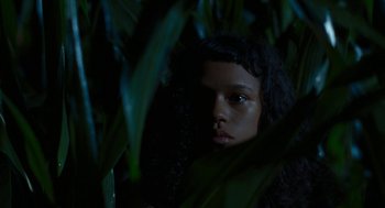 Movie still from “Bones and All” (2022), directed by Luca Guadagnino – A woman with long hair is standing in the bushes; Close Up shot, Low angle