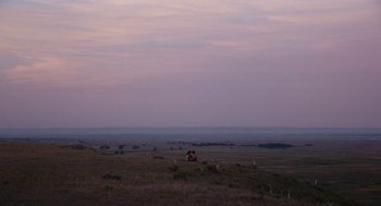 Movie still from “Bones and All” (2022), directed by Luca Guadagnino – A couple of animals are in the middle of a field at dusk; Extreme Wide shot, Over the shoulder angle