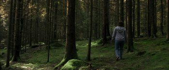 Movie still from “Border” (2018), directed by Ali Abbasi – A person walking through the woods in the evening; Wide shot, High angle