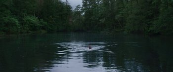 Movie still from “Border” (2018), directed by Ali Abbasi – A person swimming in a body of water near a forest; Extreme Wide shot, High angle